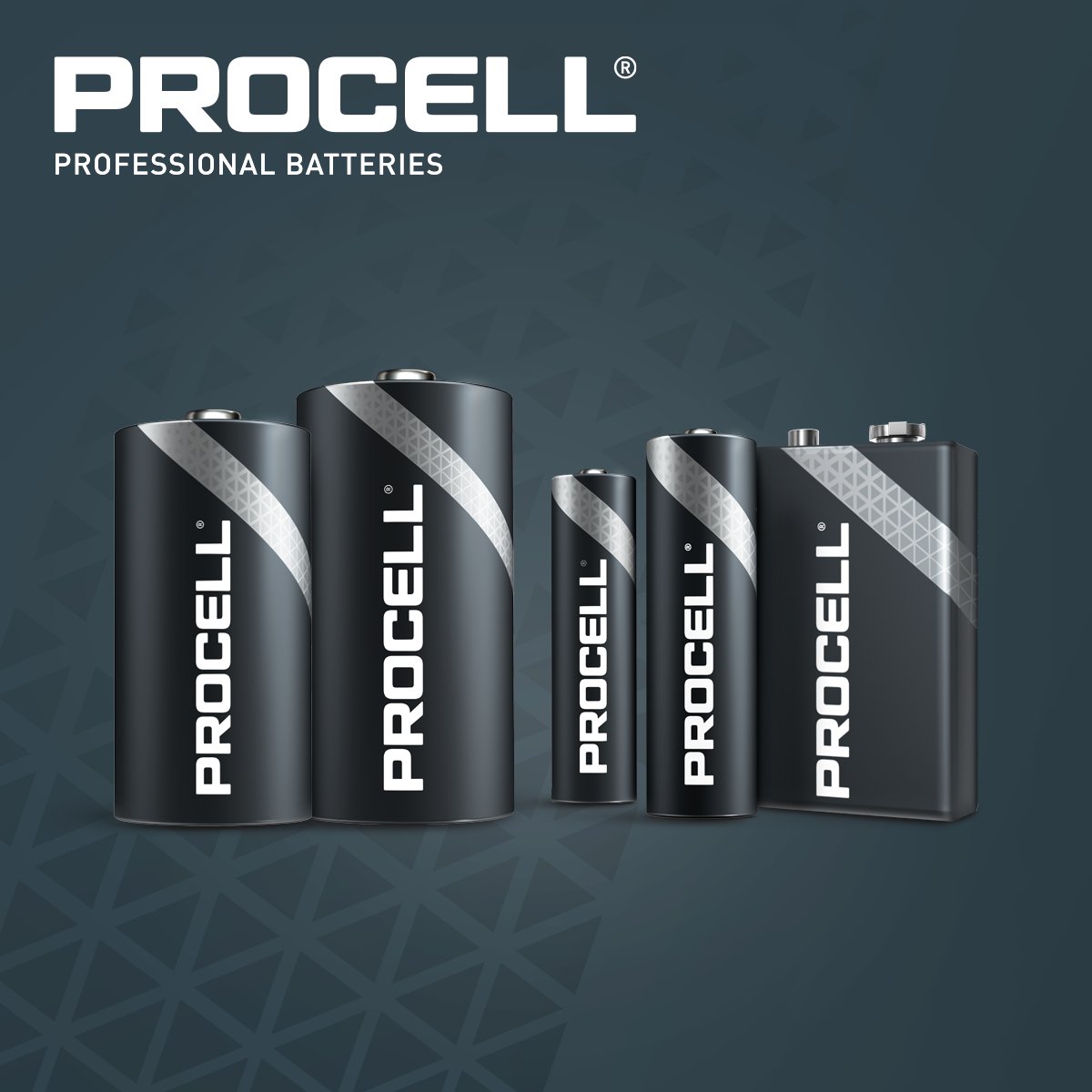 PROCELL FAMILY